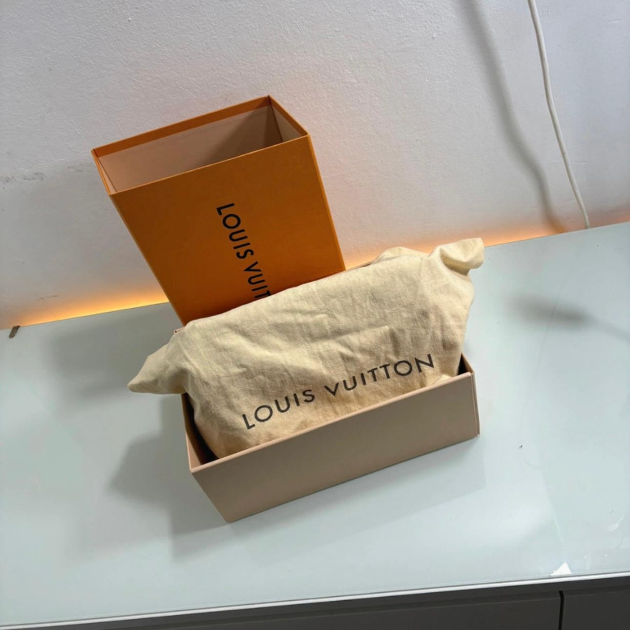 Louis Vuitton Speedy 25