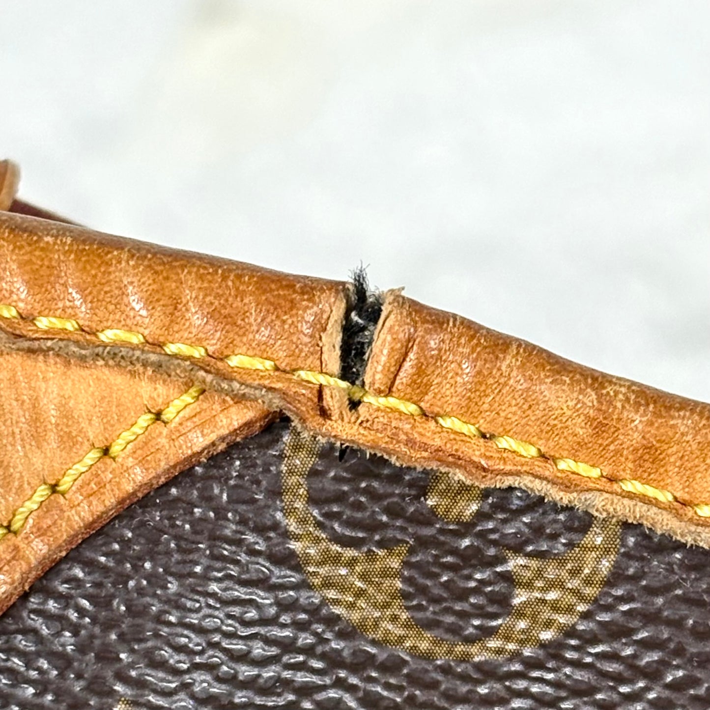 Louis Vuitton Galliera in monogram canvas con finiture in vacchetta
