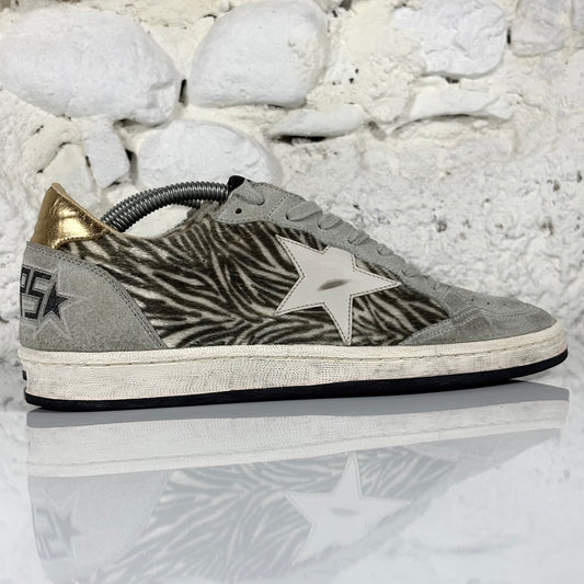 Golden goose Ballstar "zebrate" in cavallino con stella bianca e talloncini dorati 37