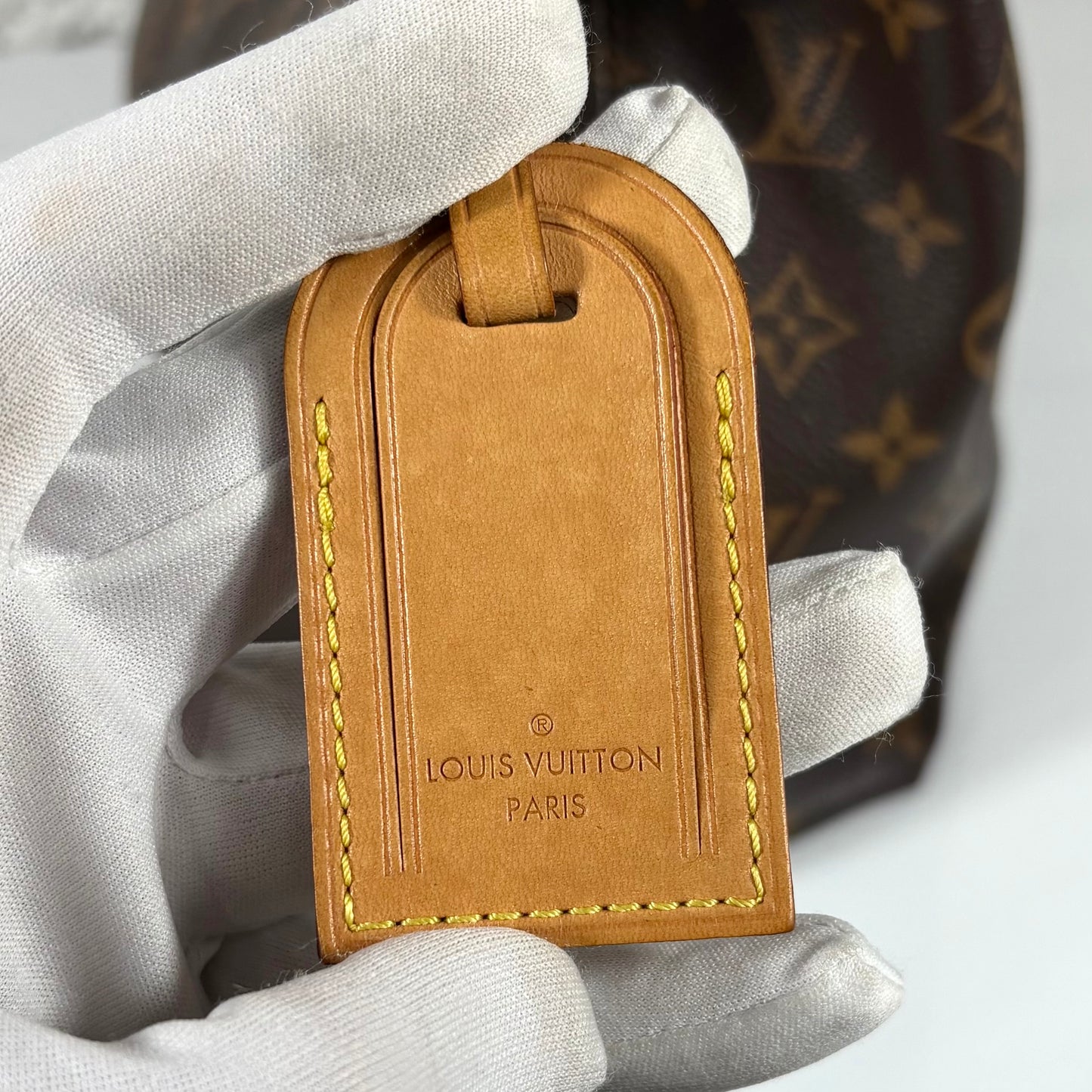 Louis Vuitton Delightful PM