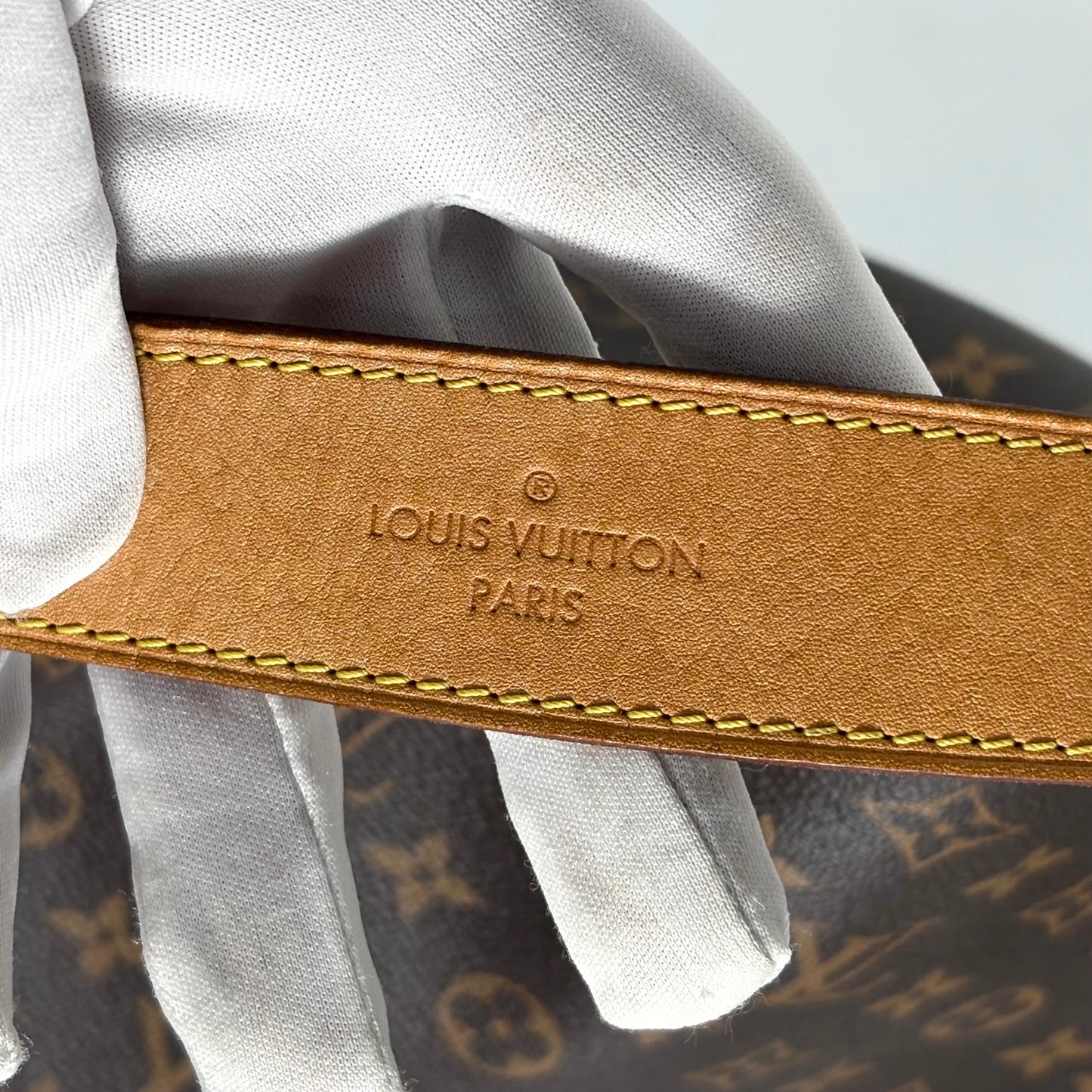 Louis Vuitton Delightful PM