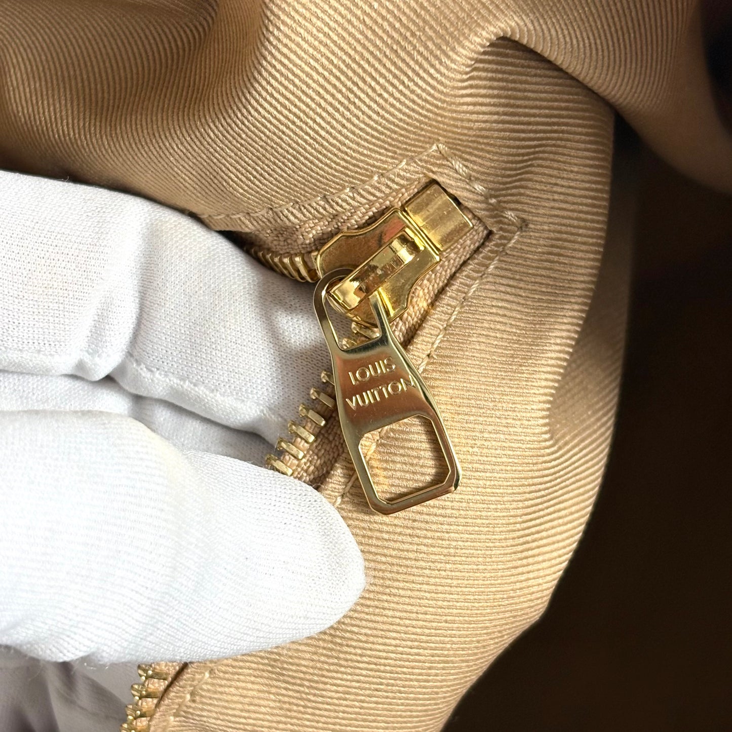 Louis Vuitton Delightful PM